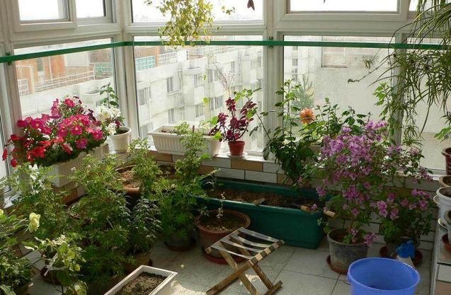 1574909589788997.jpg 4.jpg